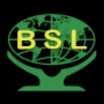 BSL logo