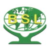 BSL